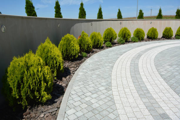 Best Custom Driveway Pavers  in Ofallon, MO